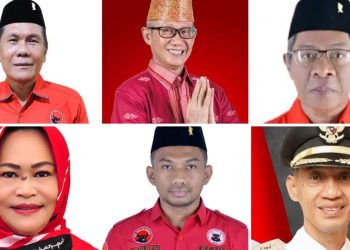 Tak Ada Nama Ahmad Safei, 11 Calon Ketua PDIP Sultra Jalani Psikotest