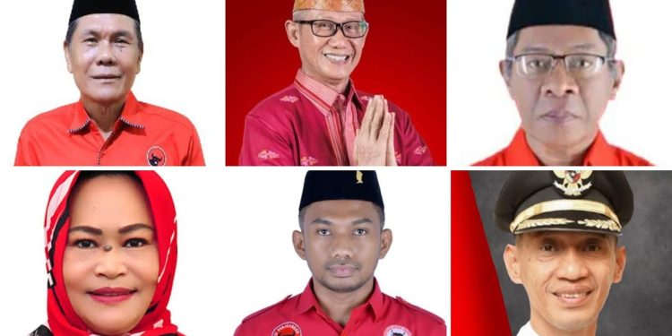 Tak Ada Nama Ahmad Safei, 11 Calon Ketua PDIP Sultra Jalani Psikotest