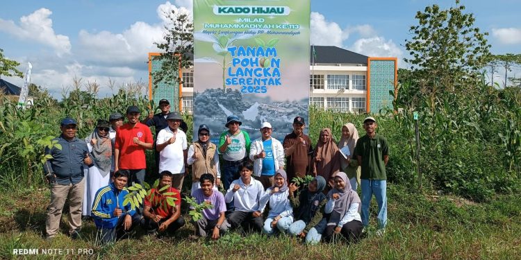 Peringati Milad ke-113 Muhammadiyah Sultra Gelar Penanaman Pohon Endemik Serentak